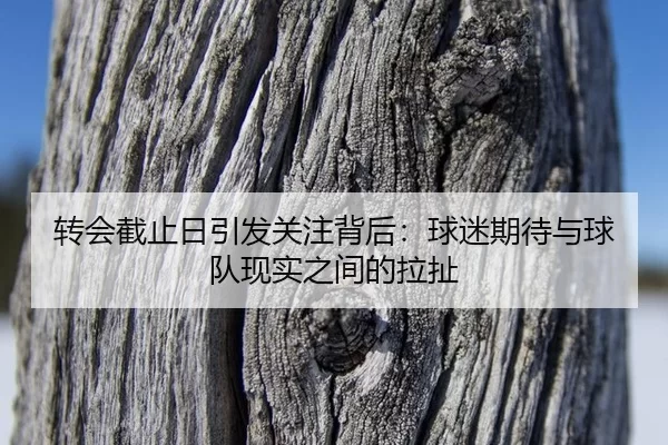 转会截止日引发关注背后：球迷期待与球队现实之间的拉扯